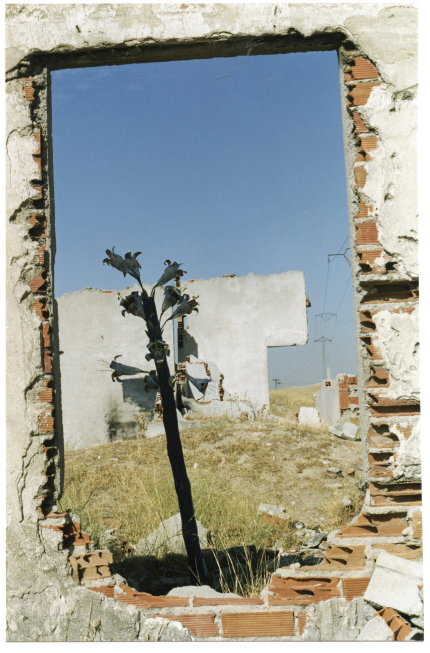 Flowering of the Rod. Madera, pigmento y hojalata. Altura 185 cm. 1991