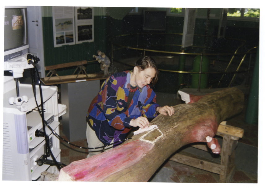 Foto de la artista preparando la obra, implantando gusanos (Tenebrium Molitor) en un tronco conectado a un endoscopio. 1998