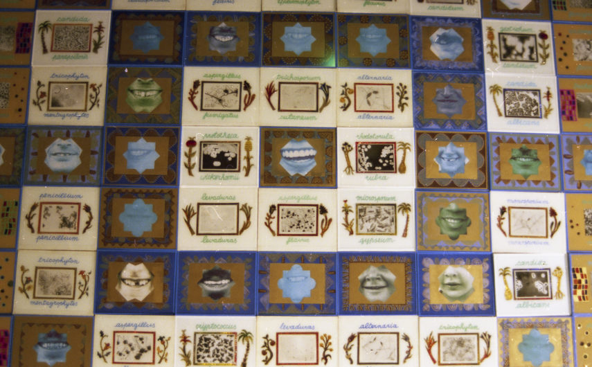 Detalle de la instalación "La sonrisa es contagiosa". "Objetos Mestizos", Museo de Marrakesh, Marruecos. 2003. Fotografía, pintura bajo cristal, papel de aluminio. 20x25 cm. c/u