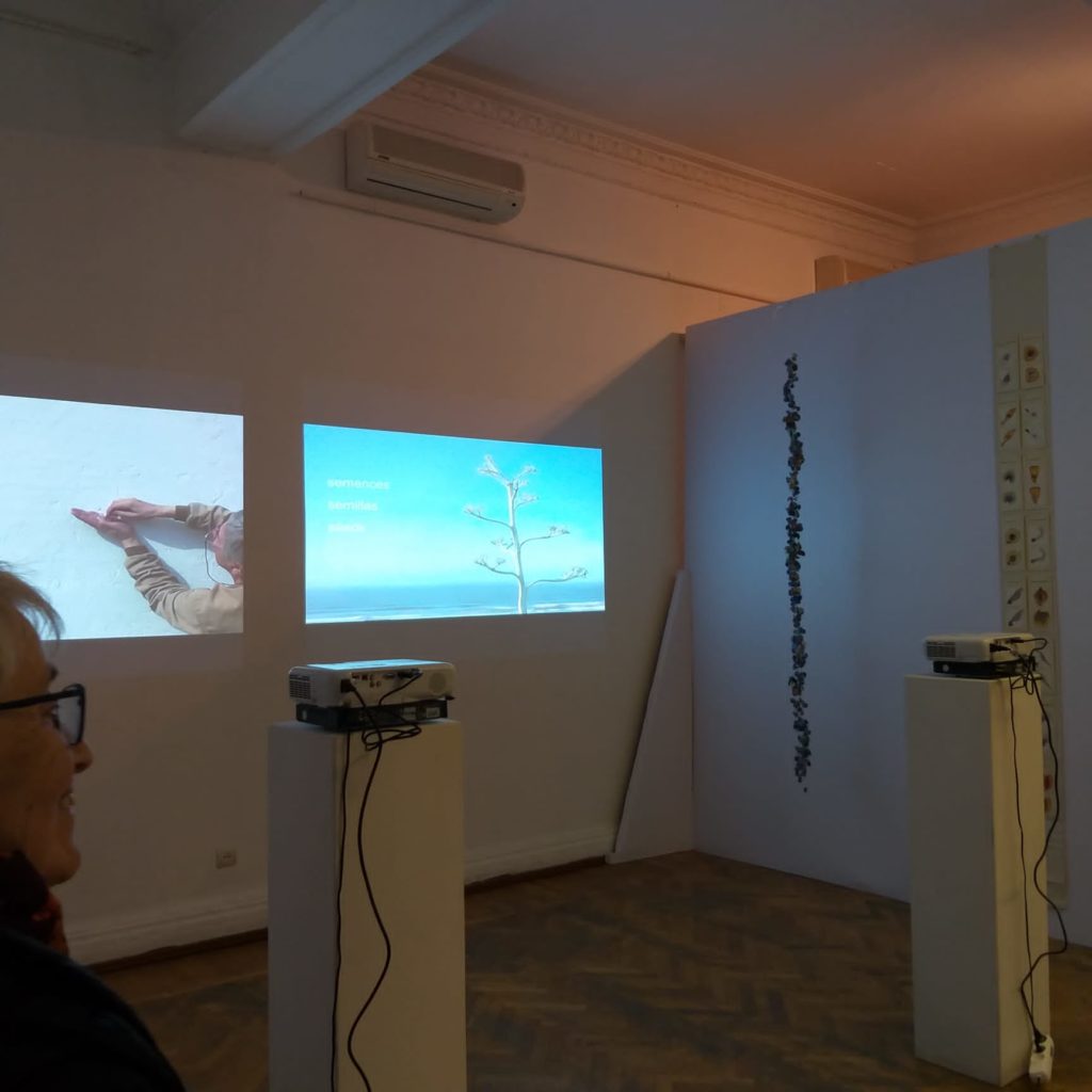 “Seeds”, Videoinstallation at the 6th Contemporary Art Biennial, Baku (Azerbaijan)